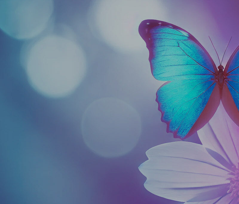 A vibrant butterfly resting on a flower, representing workplace strategy coaching.