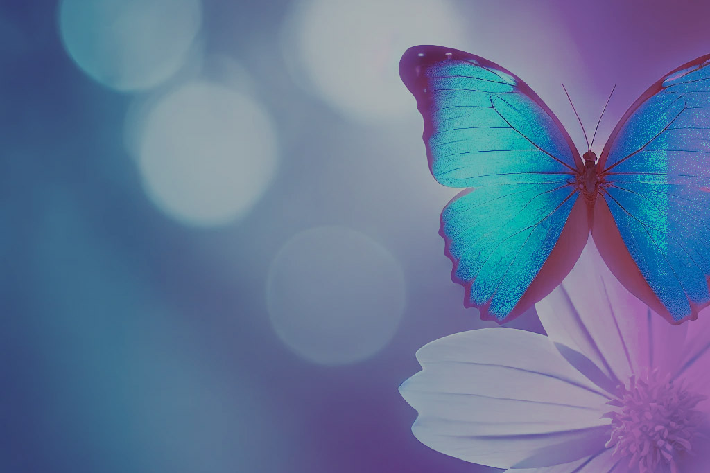 Five Actions to Dismantle Ableism in Everyday Life